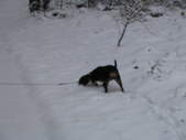 Enlarge photo 109