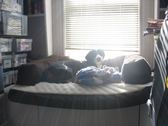 Enlarge photo 510