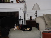 Enlarge photo 108