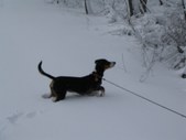 Enlarge photo 148