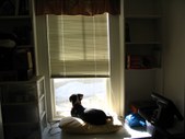 Enlarge photo 179
