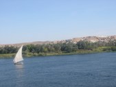 Enlarge photo 94