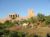 Enlarge photo 47