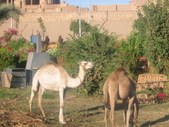 Enlarge photo 48