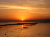 Enlarge photo 88