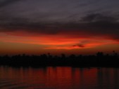 Enlarge photo 91