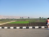 Enlarge photo 118