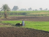 Enlarge photo 119