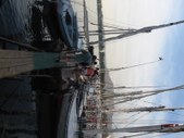 Enlarge photo 154