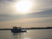 Enlarge photo 157
