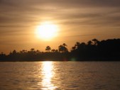 Enlarge photo 171
