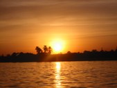 Enlarge photo 173