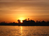 Enlarge photo 174