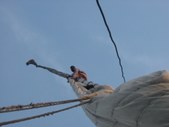 Enlarge photo 166