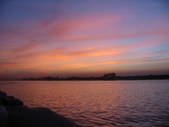 Enlarge photo 175