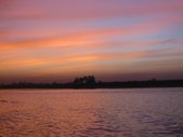 Enlarge photo 176