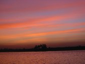 Enlarge photo 177
