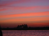 Enlarge photo 179