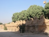 Enlarge photo 122