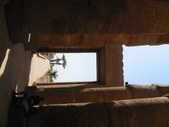 Enlarge photo 137