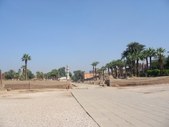 Enlarge photo 142
