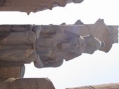Enlarge photo 146