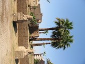 Enlarge photo 150
