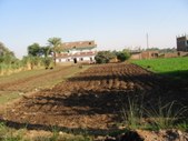 Enlarge photo 183