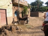 Enlarge photo 184