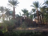 Enlarge photo 185