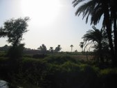 Enlarge photo 186
