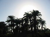 Enlarge photo 187