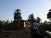 Enlarge photo 189