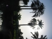 Enlarge photo 190