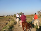 Enlarge photo 192