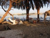 Enlarge photo 194