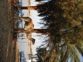 Enlarge photo 195