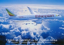 Enlarge photo 231
