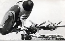Enlarge photo 196