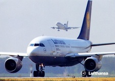 Enlarge photo 134