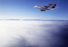 Enlarge photo 170