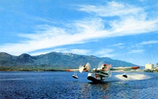 Enlarge photo 135