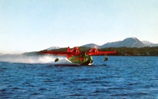 Enlarge photo 35