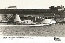 Enlarge photo 64