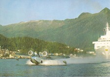 Enlarge photo 42