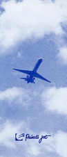 Enlarge photo 100