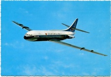 Enlarge photo 36