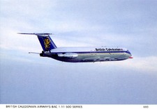 Enlarge photo 78
