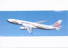Enlarge photo 77