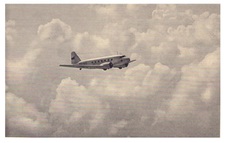Enlarge photo 45